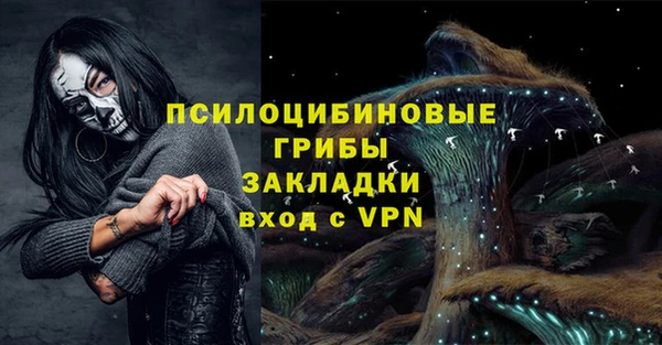 тгк Абаза