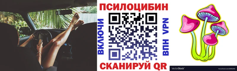 Псилоцибиновые грибы прущие грибы  Циолковский 