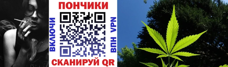 купить наркотик  Циолковский  Канабис сатива 